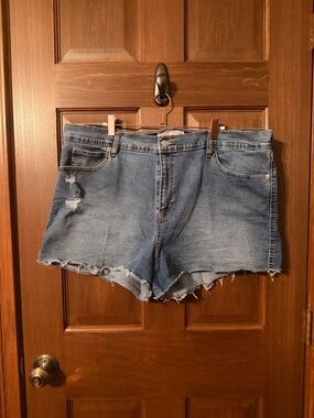 Signature by Levi Strauss Distressed Blue Denim Cutoff Shorts